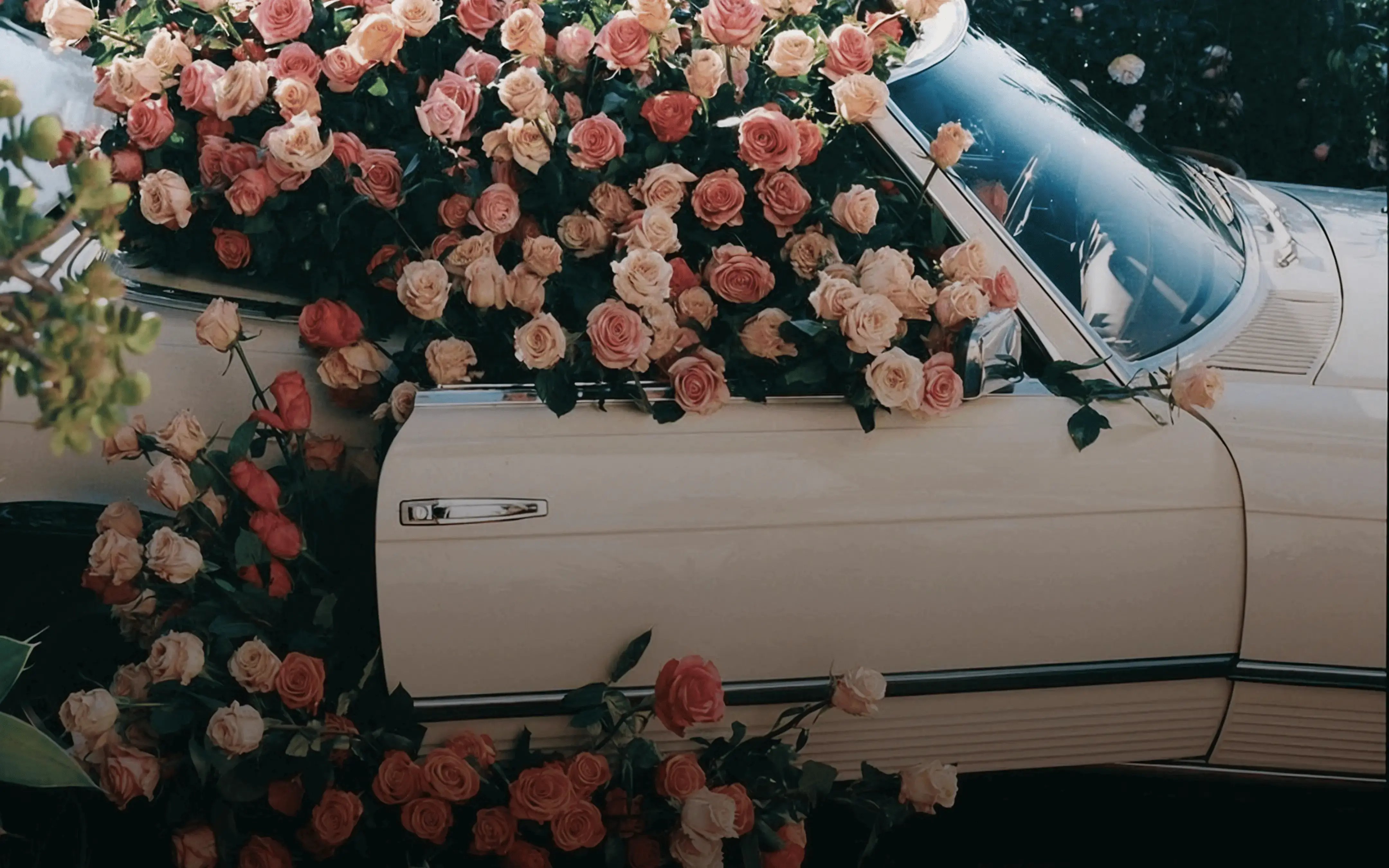 GenovaWebArt--case-study-Le-Monde-Gourmand-hero-desktop-up-1