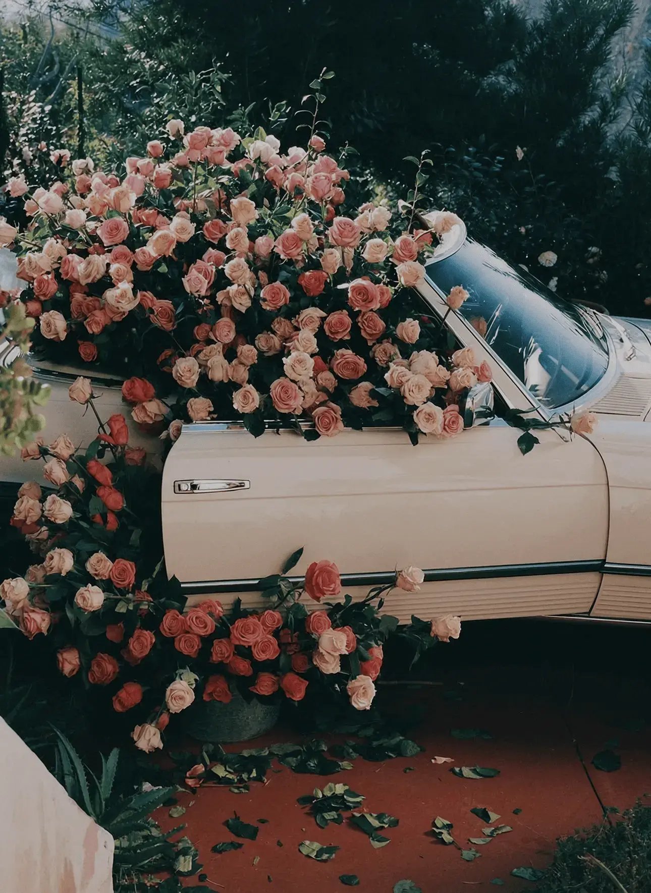 GenovaWebArt--case-study-Le-Monde-Gourmand-hero-mobile-up-1