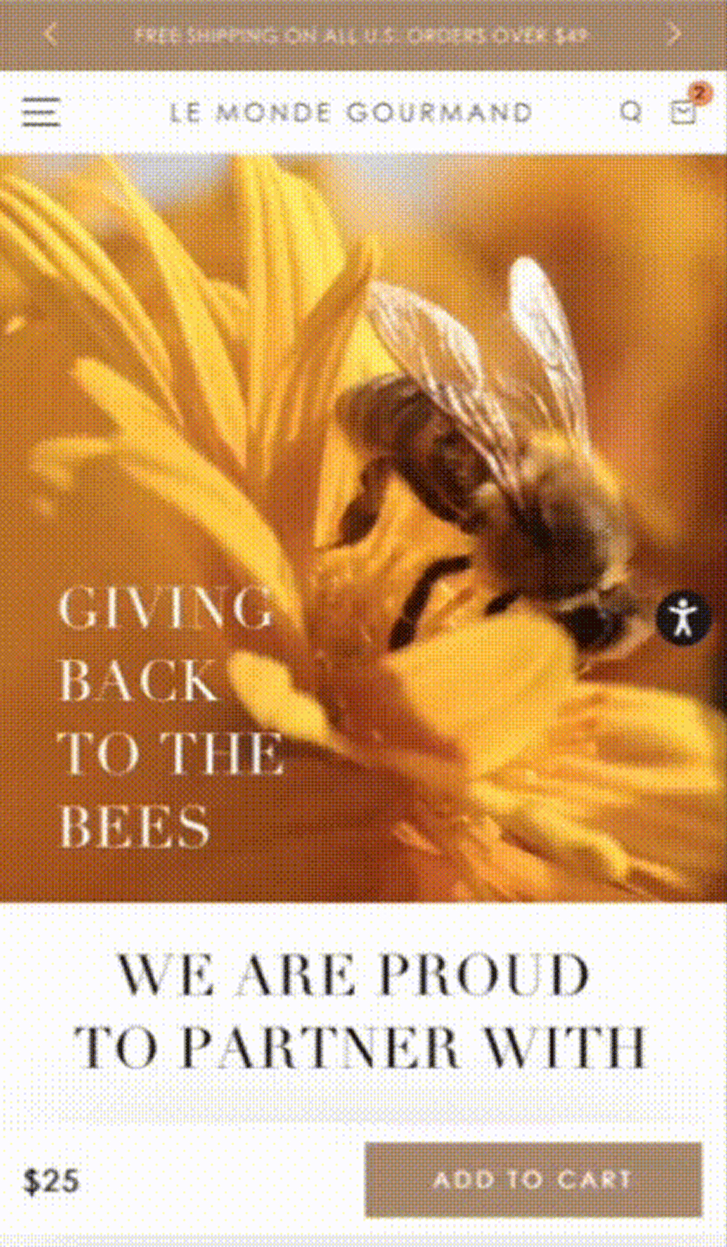 genovaWebArt-case-study-LMG-iphone-screen-Bees-up