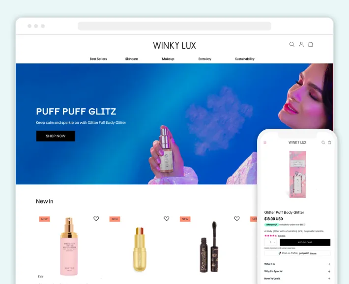 Winky Lux online store, Screenshot for Blog Article - Best Shopify Theme