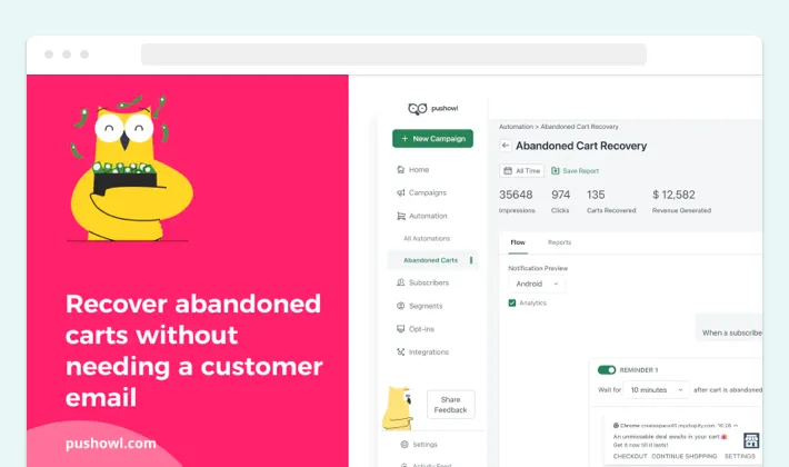 Abandoned cart recovery with the PushOwl Shopify app, Screenshot for Blog Article - Shopify Apps Explained